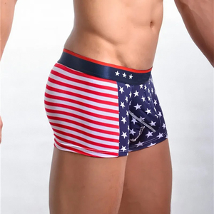 Venta al por mayor POWER FIGHTER Calidad Premium Plus Size Men's MMA Vale Tudo Shorts Transpirable 320g Tela con Precio Barato - Product Image 5