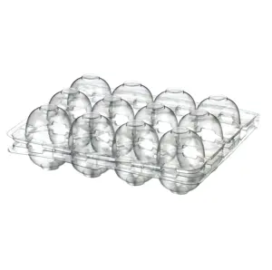 High Quality 12 Cells Plastic PET Quail Egg Tray Wholesale Disposable Transparent Egg Case Packaging with Lid