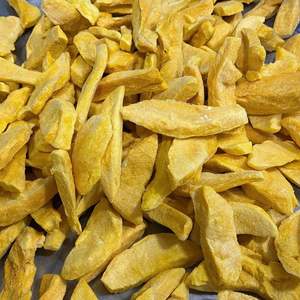 Mangue lyophilisée, matière première de mangue croquante, idéale pour les céréales de petit-déjeuner, les garnitures et la production de confiseries, en provenance du Vietnam - Product Image 4