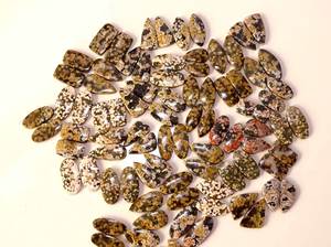 El mejor cabujón, piedras preciosas sueltas suaves naturales, par de jaspe oceánico Natural, piedras preciosas sueltas para hacer joyas, pendientes - Product Image 2