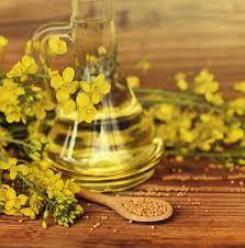 High Quality Canola Oil / Rapeseed Oil in Bulk for Export - Product Image 4