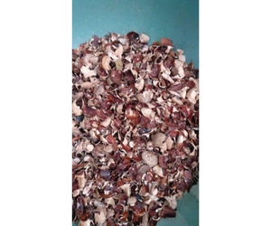 Précommandez des aliments pour animaux à des prix préférentiels 100% naturels. - Product Image 4