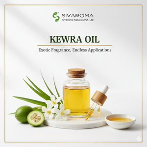 น้ำมันหอมระเหยกลิ่นธูปและน้ำหอมเกรดธรรมชาติใช้สำหรับการจัดหาในอุตสาหกรรม - Product Image 2