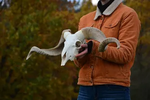 Shofar de Cuerno de Carnero Natural, Instrumento Tradicional Judío Hecho a Mano, Recuerdo Náutico, Decoración Ecológica para el Hogar - Product Image 5