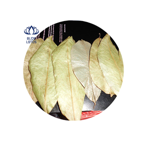 Daun Sirsak Kering