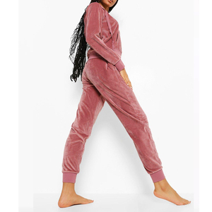 Custom Logo 100% Cotton <b>Velvet</b> Hooded SweatSuit 2-Piece Jogger Set Casual Couple Women Front Placement - Product Image 6