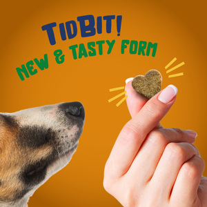 Supplément de soutien immunitaire à mâcher doux pour chiens HMB, levures de bière et valériane OEM et marque privée - Product Image 3