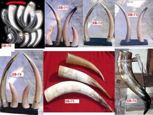 Cornes soufflantes pour Viking thème décoration de la maison Antique à la main Viking corne à boire indien fait 2024 Viking corne sel lampe - Product Image 3