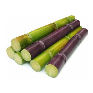 Caña de Azúcar Francesa Nutritiva, Rica en Sabor e Ingredientes Naturales, Empaque Personalizado, Producto Agrícola - Product Image 3