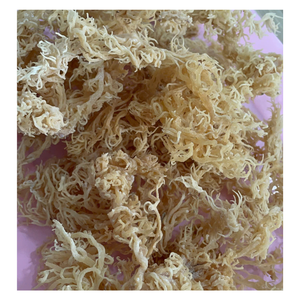 Mousse de mer séchée crue du Vietnam Mousse irlandaise blanche Eucheuma Cottonii pour les smoothies de mélange de gel et les applications de salade froide - Product Image 1