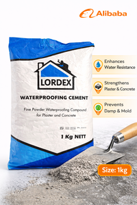 Ciment d'étanchéité en poudre fine Lordex (1 kg) (Lot de 25) VENTE EN GROS - Product Image 2