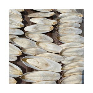 <b>Cuttlefish</b> Bone Exporters Natural <b>Cuttlefish</b> Bone Calcium Supplement Food for Pets - Product Image 1