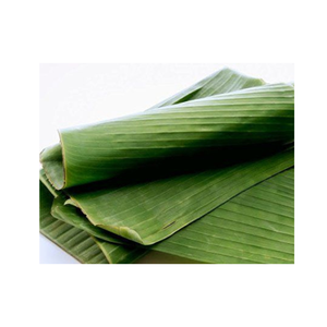 บรรจุภัณฑ์จากใบตอง/ผลิตภัณฑ์จากใบตองที่เป็นมิตรกับสิ่งแวดล้อม - ใบตองสดคุณภาพเยี่ยม - Product Image 2