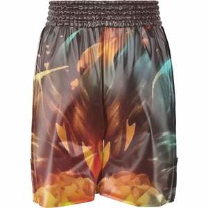 Diseño personalizable sublimación UFC MMA pantalones cortos moda estiramiento lucha pantalones cortos para entrenamiento de artes marciales al por mayor - Product Image 2