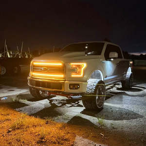 2015-2017 F150จำกัดแถบตะแกรงตามลำดับ - Product Image 2