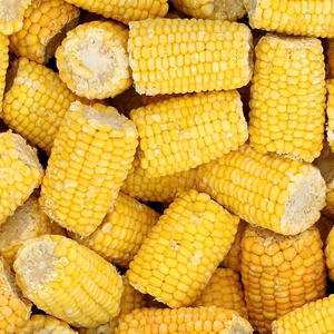 Vente en gros Délicieux MAÏS STICKY CONGELÉ SUR ÉPI de qualité internationale fabriqué au Vietnam 1kg - Product Image 4