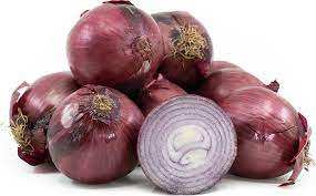 Quantité en vrac Oignon de ferme frais à vendre - Product Image 6