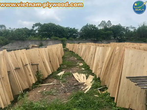 Placage de bois d'acacia et d'eucalyptus du Vietnam HCPLY LUCYPLYWOOD 640x1270mm 18% d'humidité Garantie 1 an Utilisation en entrepôt Prix compétitif - Product Image 3