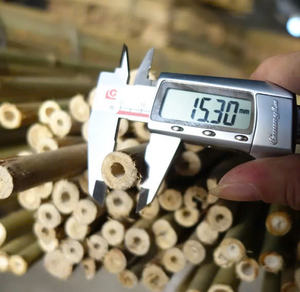 Bambú crudo, postes de bambú utilizados en la agricultura, postes de bambú para enrejados, estacas de bambú - Product Image 5