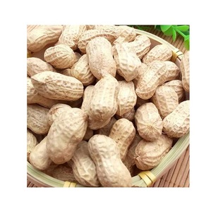 ถั่วลิสงออร์แกนิกปอกเปลือก ปอกเปลือกแดง ขายส่งจำนวนมาก - Product Image 6