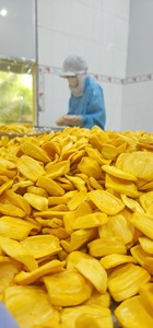 Jackfruit séché à l'air de qualité supérieure, saveur douce et texture croustillante, emballage en vrac, étiquette OEM/ODM - Product Image 4