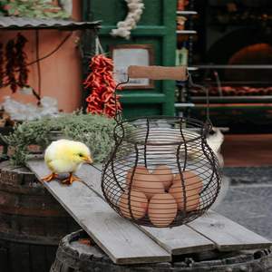 Paniers à oeufs pour ferme d'œufs frais, panier de collecte d'œufs, panier à oeufs pour rassembler des œufs frais, oeuf en fil métallique à poignée ronde - Product Image 4