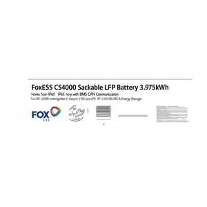 Batería Apilable FoxESS CS4000 LFP de 3.975kWh 100Ah IP65 con Comunicación CAN BMS - Product Image 3