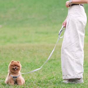 Correa de perro Leasholic OEM ODM, diseño personalizado, cómodo mango acolchado colorido, Metal de moda duradero con estilo clásico - Product Image 4