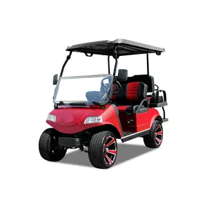 Made 2 seat battery powered electric aluminum golf cart and Controller