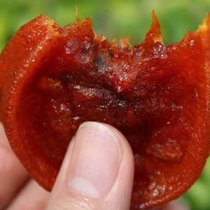 Caqui seco sin conservantes | Textura suave de primera calidad | Fabricante vietnamita - Product Image 4