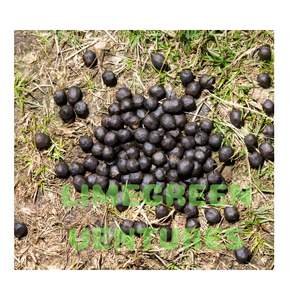 Goat Dung Manure <b>Organic</b> Goat Manure Exporters Goat Dung Fertilizer Suppliers Bulk <b>organic</b> Manure Worldwide - Product Image 4