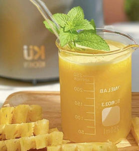 Concentré d'ananas vietnamien en vrac: qualité sans compromis, prix compétitif - Product Image 2