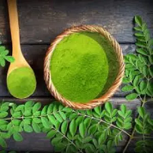 Dried Moringa Leaves Herbal Oleifera Extract For Tea / Moringa Leaf Powder OEM Bag Custom Packaging