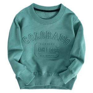 2024 nueva llegada logotipo personalizado peso pesado 500 Gsm algodón sudadera térmica personalizada de alta calidad de gran tamaño 3D en relieve sudadera - Product Image 1