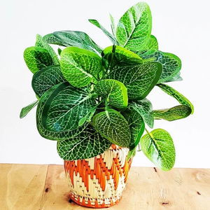 Macetas de hierba Moonj tejidas a mano de calidad superior, soportes decorativos para plantas a precio al por mayor, directo de la fábrica India - Product Image 1