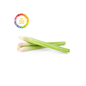 Les meilleures tiges de citronnelle congelées du Vietnam-Améliorez vos plats avec fraîcheur et arôme-Approvisionnement en vrac de haute qualité du Vietnam - Product Image 2