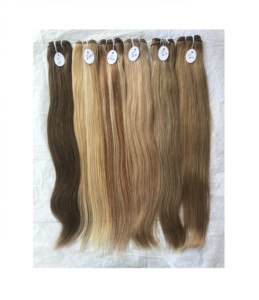 Meilleur vendeur en gros 100% vison brésilien vierge Top Style droit 22 pouces couleur wefted extension de faisceau de cheveux humains - Product Image 1