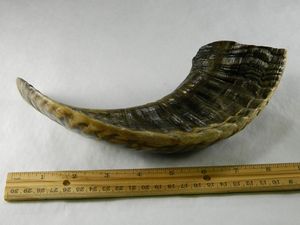 CORNE À BOIRE VIKING PERSONNALISÉE AGATE GRANDE corne de buffle personnalisée VIKING pour boissons corne à boire pour l'occasion de Noël - Product Image 4