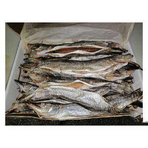 Precio barato, pikeperch seco, suministro a granel, venta al por mayor, mariscos de alta calidad - Product Image 3