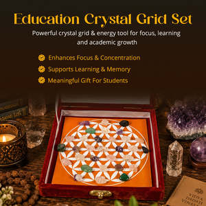 Education Crystal Tumbles Grid <b>Box</b>-Natural Reiki Charged Healing Stones for Study Focus <b>Memory</b> Support - Product Image 4
