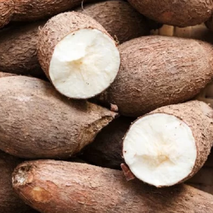 Yuca natural para consumo humano con precio competitivo de Vietnam con alta calidad - Product Image 3