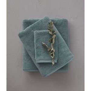 Cèdre vert doux - Product Image 1