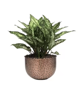 Jardinières rondes en métal martelé fini jardinière à la main avec support pour la maison jardin bureau patio entrée décoration - Product Image 6