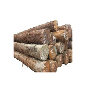 Troncos de madera de teca personalizados al por mayor, madera dura de pino y rojo, gran oferta de troncos de madera de eucalipto a precio económico para el mercado mundial en todo el mundo - Product Image 2