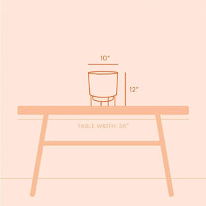 Macetas Metálicas Duraderas de la Mejor Calidad con Diseño y Tamaño Personalizados, con Color y Tamaño a Medida para Hogares, Hoteles y Centros Comerciales - Product Image 3