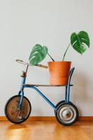 Pots de fleurs en céramique portables de luxe faits à la main forme moderne avec la meilleure finition pour les clubs de restaurants d'escaliers de toit de jardin en plein air
