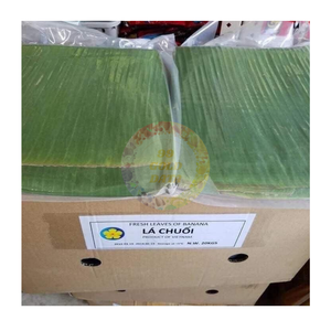 Feuilles de bananier vertes congelées naturelles du Vietnam, couleur verte fraîche, feuille épaisse, haute qualité, approvisionnement en gros pour l'emballage alimentaire - Product Image 2