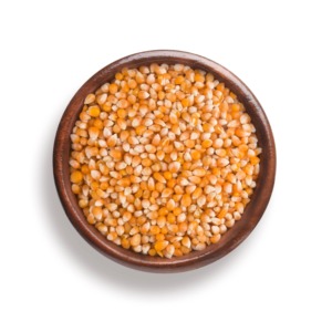 Hochreine natürliche getrocknete Popcorn kerne Bester globaler Export lieferant Großhandels preis Frischer gelber Zucker mais