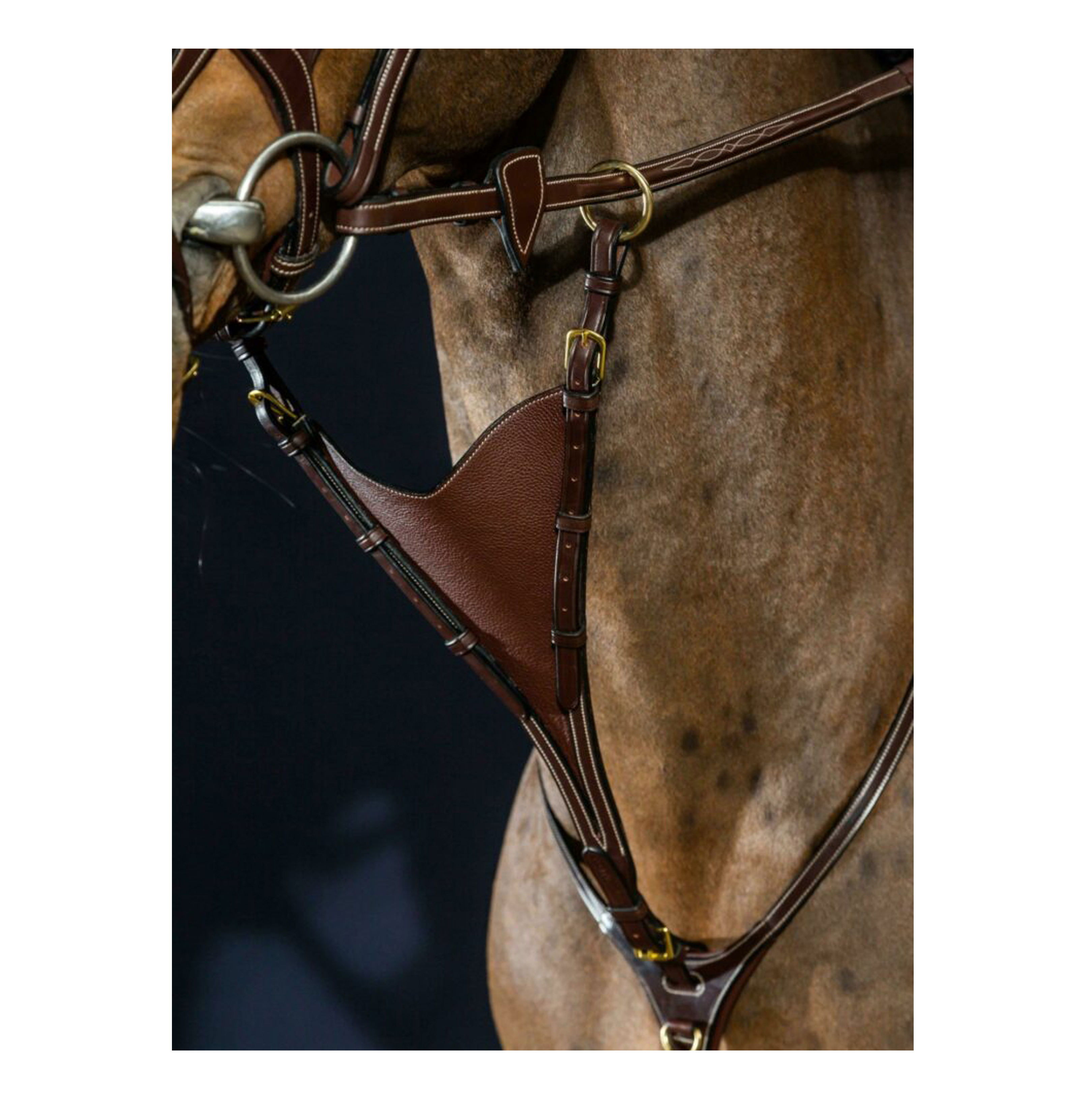 สีน้ำตาล