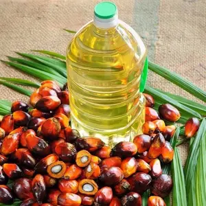 Немецкий производитель поставщик 100% чистый пальмовый олеин растительное масло для жарки